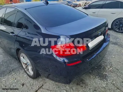 2016, BMW / 520, VIN: WBA5E7105GG567284, 171014 км., diesel