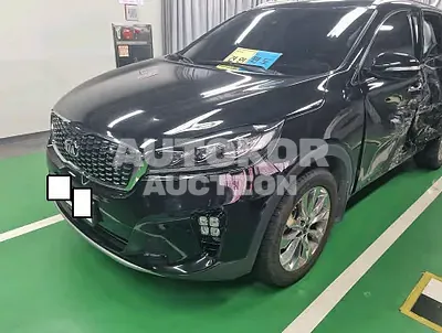 2019, Kia / Sorento, VIN: KNAPK81BDKA515816, 54474 км., diesel