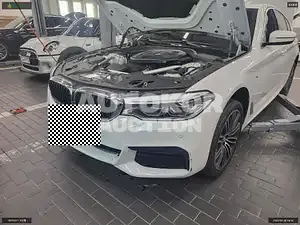 2020, BMW / 520, VIN: WBAJF5108LCE75543, diesel