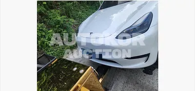 2023, Tesla / Model Y, electric, 173 куб.см.