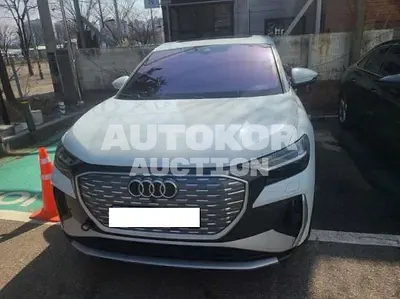 2022, Audi / q4 sportback e-tron, VIN: WAUZZZFZ5NP042506, 47976 км., electric