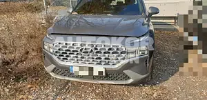 2020, Hyundai / Santa FE, VIN: KMHS281HGMU317019, diesel