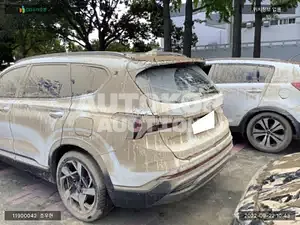 2020, Hyundai / Santa FE, VIN: KMHS381HGMU330356, diesel
