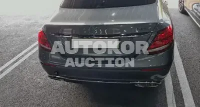 2020, Mercedes-Benz / E 220, VIN: W1KZF0EB1LA800617, 50851 км., diesel
