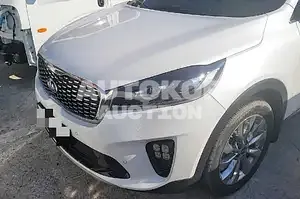 2019, Kia / Sorento, VIN: KNAPK81BBKA546883, 46173 км., diesel, 2199 куб.см.