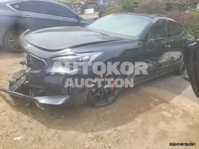 2021, Kia / Stinger, VIN: KNAE551CDMS090425, gas