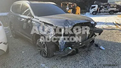 2019, Hyundai / Santa FE, VIN: KMHS281BBKU151339, 101629 км., diesel, 2000 куб.см.