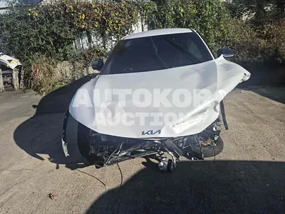 2022, Kia / ev6, VIN: KNAC181EPPA101541, 45704 км., electric