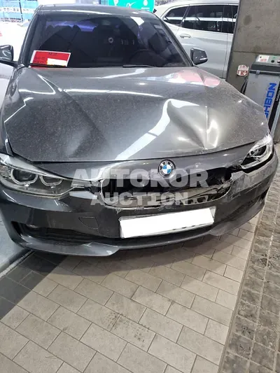 2015, BMW / 320, VIN: WBA3E1100FF947769, 73614 км., diesel