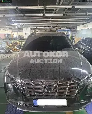 2023, Hyundai / Tucson, VIN: KMHJE81BHPU244450, gas