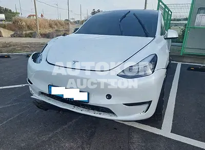 2022, Tesla / Model Y, VIN: 7SAYGDEE1NF500030, electric