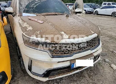 2021, Kia / Sorento, VIN: KNARK81BGMA026012, diesel