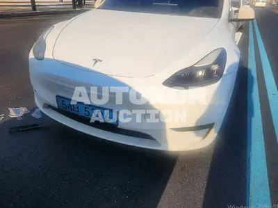 2024, Tesla / Model Y, VIN: LRWYGCFS3RC176994, 43573 км., electric