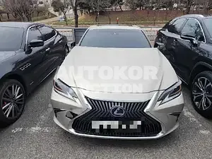 2019, Lexus / ES 300, VIN: JTHB21B19K2046849, 96010 км., hybrid, 2500 куб.см.