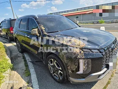 2023, Hyundai / Palisade, 70675 км., gas, 3800 куб.см.