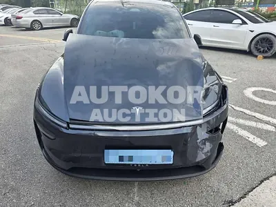 2025, Tesla / Model Y, electric