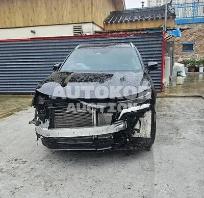 2021, Kia / Sorento, VIN: KNARH81BGMA010820, diesel