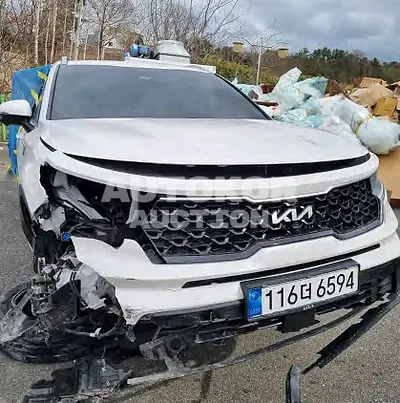 2023, Kia / Sorento, VIN: KNARG81GDPA144060, hybrid, 1598 куб.см.