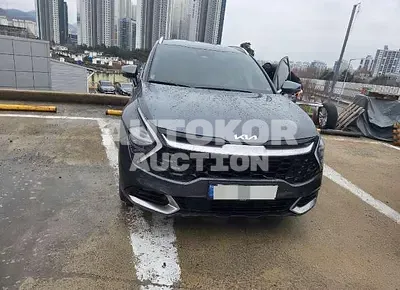 2023, Kia / Sportage, 60000 км., hybrid, 1600 куб.см.