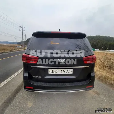 2019, Kia / Carnival, VIN: KNAME811BKS487124, gas