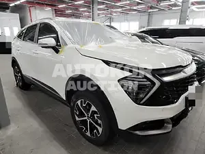2021, Kia / Sportage, VIN: KNAPX81GBNK002052, 30000 км., hybrid, 1598 куб.см.