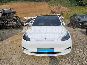 2024, Tesla / Model Y, VIN: LRWYGCFS7RC426317, electric