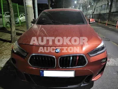 2019, BMW / X2, VIN: WBAYL1106JEA95666, diesel