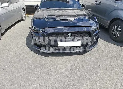 2019, Ford / Mustang GT, VIN: 1FA6P8CF3K5193762, gas