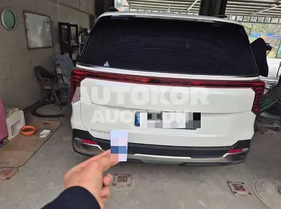 2024, Kia / Carnival, 50 км., diesel