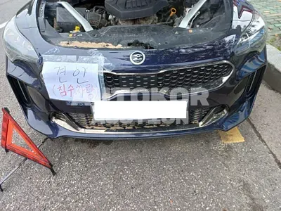 2019, Kia / Stinger, VIN: KNAE351ABKS052724, 40000 км., gas