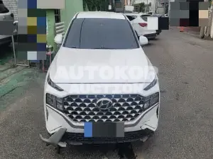 2022, Hyundai / Santa FE, VIN: KMHS281HGNU439018, 60777 км., diesel