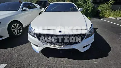 2017, Mercedes-Benz / CLS 250, VIN: WDDLJ9HB7HA205086, diesel