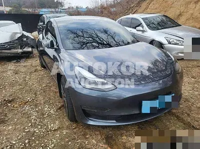 2021, Tesla / Model 3, electric, 236 куб.см.