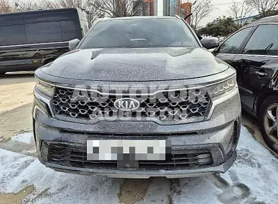 2020, Kia / Sorento, hybrid, 1598 куб.см.