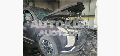 2024, Hyundai / Palisade, 50000 км., diesel, 2199 куб.см.