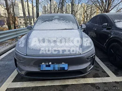 2025, Tesla / Model Y, 11264 км., electric