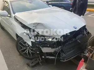 2024, BMW / 520, VIN: WBA21FJ05RCR22408, 2835 км., gas