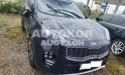 2016, Kia / Sportage, VIN: KNAPM813BGK002825, diesel