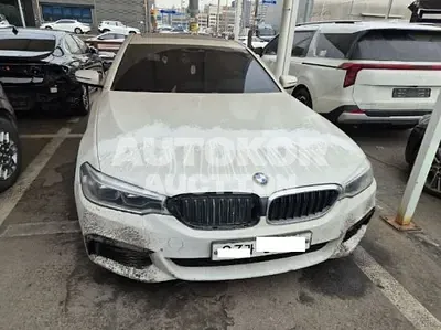 2017, BMW / 520, VIN: WBAJC3108HG991105, 195836 км., diesel