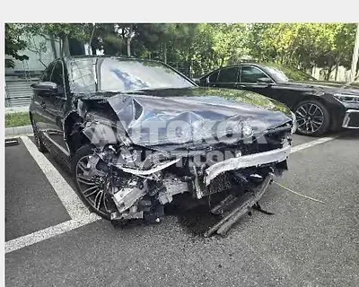 2019, BMW / 530, 173533 км., gas, 1998 куб.см.