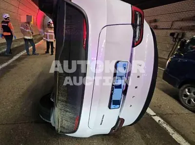 2025, Tesla / Model Y, electric, 173 куб.см.