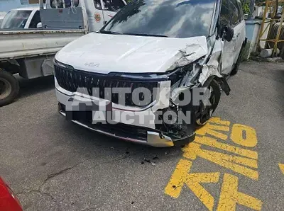 2024, Kia / Carnival, hybrid, 1600 куб.см.
