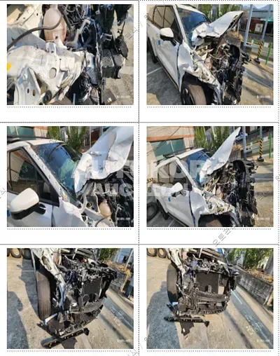 2024, Kia / Carnival, VIN: KNANE81BBRS428095, 56375 км., diesel