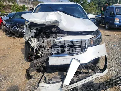 2016, Kia / Carnival, VIN: KNAMC81ABHS292337, diesel