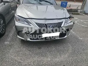 2021, Lexus / ES 300, VIN: JTHBA1C12M2003653, 40381 км., hybrid