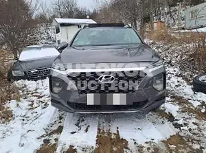 2019, Hyundai / Santa FE, VIN: KMHS381ABLU249880, 50141 км., gas