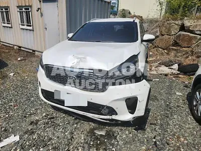 2018, Kia / Sorento, 34311 км., diesel, 45181 куб.см.