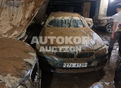 2017, BMW / 520, VIN: WBAJC3100HWB59363, diesel