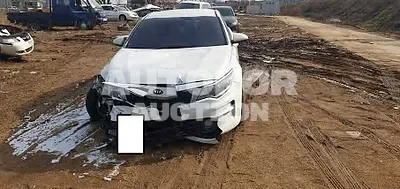 2017, Kia / K5, VIN: KNAGS416BHA130119, lpg