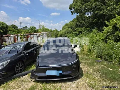2025, Tesla / Model Y, electric